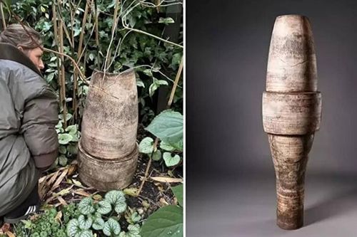 Đấu giá chậu hoa vỡ trong vườn, đại gia hét con số không tưởng