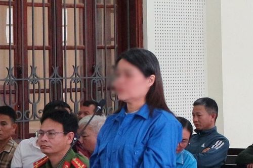 Giả danh luật sư để lừa đảo, chiếm đoạt gần 6,9 tỷ đồng