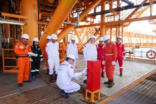 Zarubezhneft và PVEP khảo sát thực địa giàn Rồng Đôi, dự án Lô 11-2
