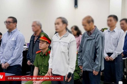 Cựu Tổng Giám đốc Tổng Công ty Chè Việt Nam lĩnh 12 năm tù