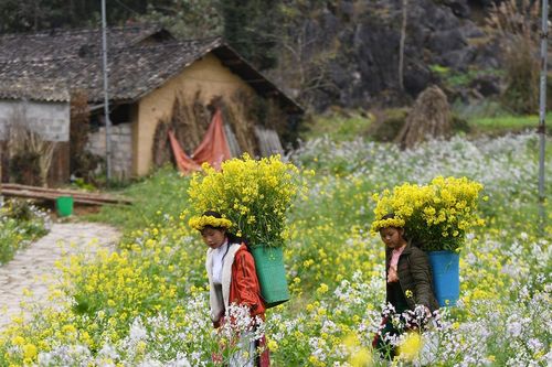 Tên gọi quê nhà tha thiết lắm