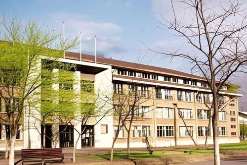 Nghiên cứu sinh tố cáo, giáo sư bị điều tra trong đêm và sa thải ngay hôm sau