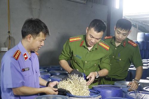 2 đặc điểm của loại giá đỗ ủ 'nước kẹo' gây hại đủ bề cho sức khỏe