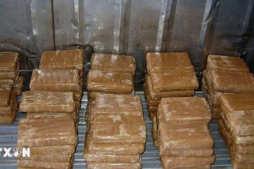 Mexico thu giữ hơn 4 tấn cocaine ngoài khơi Thái Bình Dương
