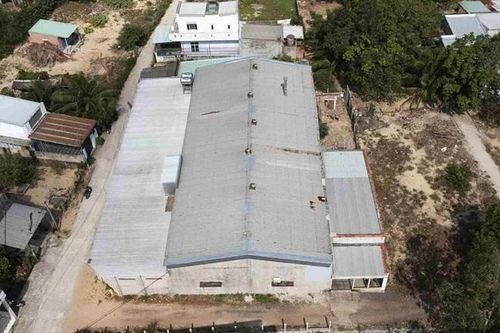 Cơ sở chế biến mực gây ô nhiễm phải dừng hoạt động sau phản ánh của TTXVN