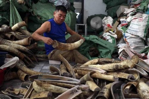 Hà Nội: Thành lập cụm công nghiệp làng nghề vốn đầu tư trên 500 tỷ đồng
