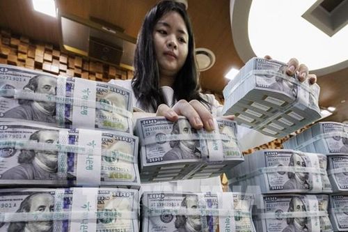 Tương lai của đồng bạc xanh