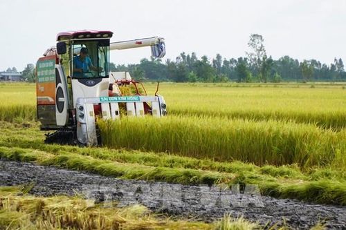 Đất Sen hồng bứt phá vươn lên