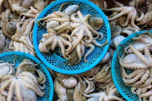 Loại hải sản ngừa ung thư khiến người Hàn rất mê, hóa ra chợ Việt Nam bán nhiều
