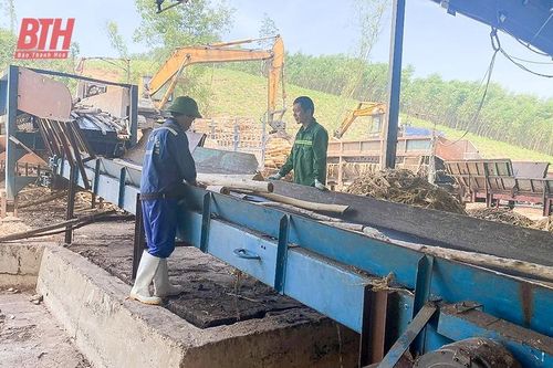 Phát triển bền vững ngành chế biến lâm sản