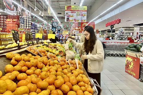 Những gam màu tươi sáng