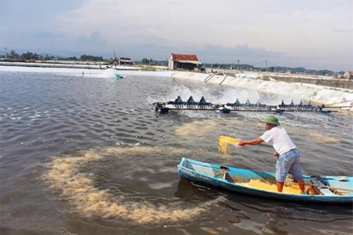 Xây dựng hệ thống quản lý môi trường liên thông toàn diện