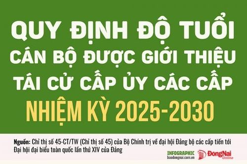 Độ tuổi cấp ủy viên nhiệm kỳ 2025-2030 được quy định thế nào?