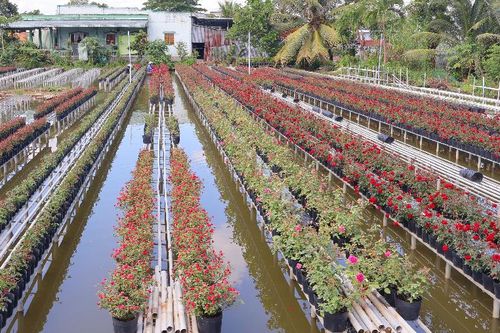 Lan tỏa vai trò chủ thể của người dân trong tham gia xây dựng nông thôn mới