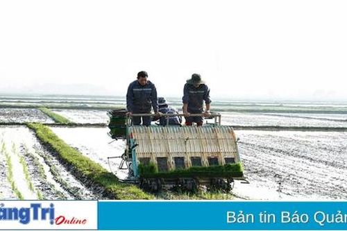 Diện tích dồn điền đổi thửa, tích tụ ruộng đất toàn tỉnh đạt hơn 780 ha