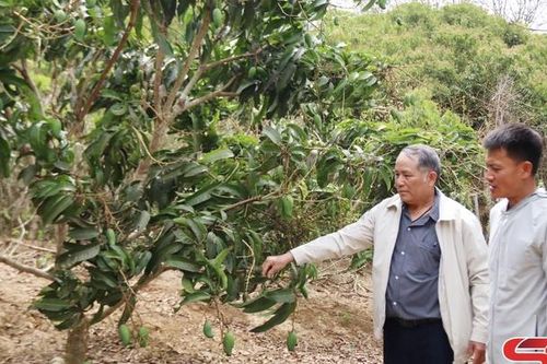 Đồng hành cùng hội viên phát triển kinh tế