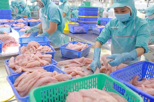 Thủy sản Nam Việt (ANV): Đơn hàng làm không kịp, lãi quý 1 tăng gấp 8 lần