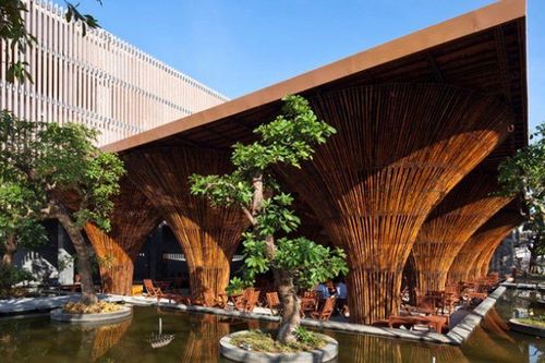 Nồng nàn hương vị cà phê phố núi