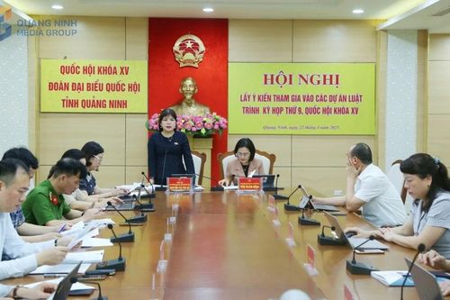 Đoàn ĐBQH tỉnh Quảng Ninh lấy ý kiến tham gia vào các dự án luật trình Kỳ họp Chín