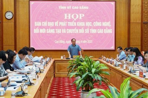 Họp Ban Chỉ đạo về phát triển khoa học, công nghệ, đổi mới sáng tạo và chuyển đổi số tỉnh