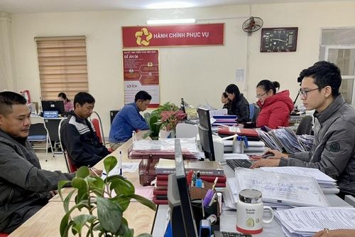Thực hiện cắt giảm, đơn giản hóa thủ tục hành chính liên quan đến hoạt động sản xuất, kinh doanh trên địa bàn tỉnh.