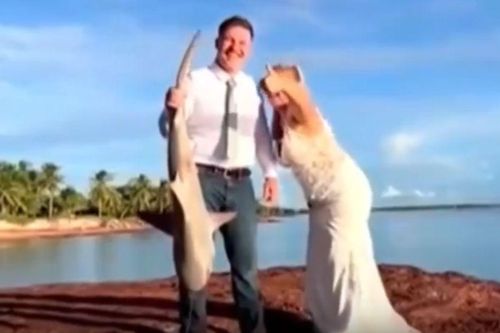 Clip: Cô dâu đi chụp ảnh cưới 'tiện tay' câu được cá mập