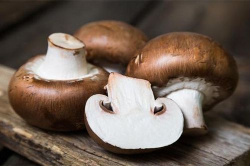 Cách chọn nấm ngon áp dụng 4 loại nấm quen thuộc nhất