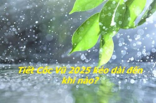 Tiết Cốc Vũ năm 2025 khi nào? 3 điều đại kỵ lưu ý trong không gian sống để tránh tán tài tán lộc