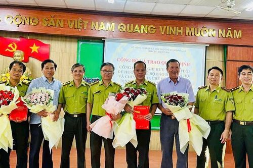 Đắk Lắk: 44 công chức, người lao động ngành Kiểm lâm xin nghỉ việc, nghỉ hưu trước tuổi