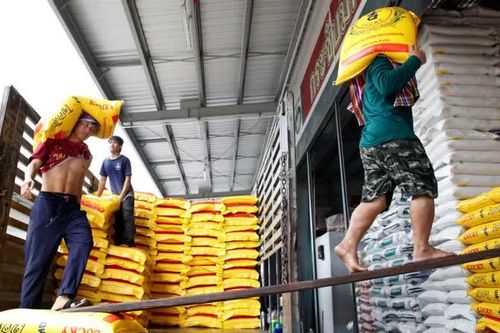 IMF cảnh báo cú sốc toàn cầu từ chính sách thương mại mới của Mỹ