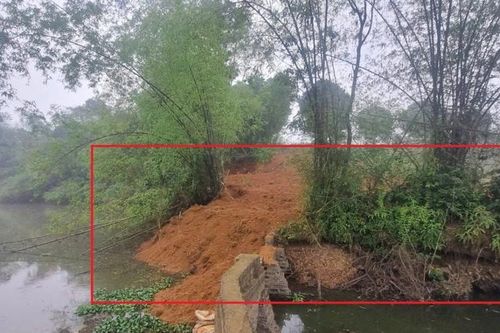 Hà Nội: kiểm tra, xử lý thông tin phản ánh về tình trạng san lấp trái phép tại hồ Đầm