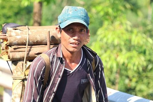 Hương quế thắp sáng ước mơ vùng cao