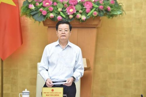Hoàn thiện và sớm trình dự thảo Nghị định quy định Cơ sở dữ liệu về phòng, chống bạo lực gia đình