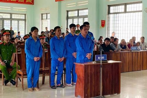 Tăng mức hình phạt tù, tiền đối với tội phạm về môi trường