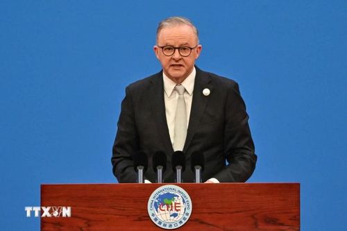 Cử tri Australia đi bầu cử sớm