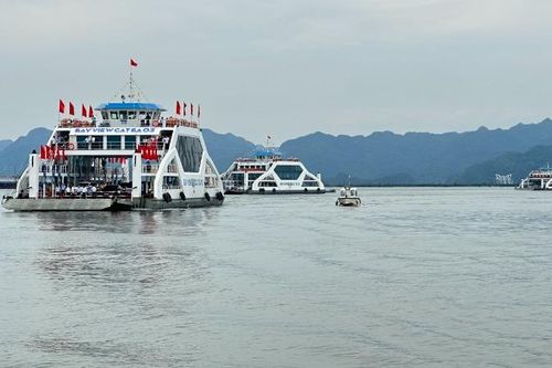 Hải Phòng tạm dừng xe ô-tô qua phà Đồng Bài ra đảo Cát Bà trong dịp nghỉ lễ và cuối tuần