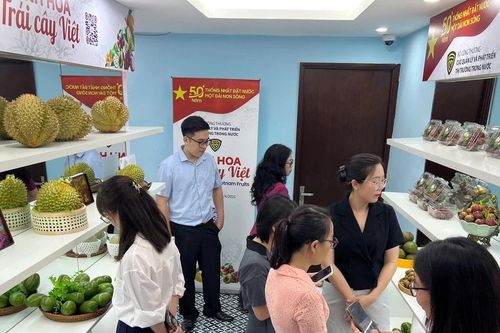 Khai mạc phòng trưng bày 'Tinh hoa trái cây Việt' tại Hà Nội