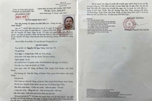 Truy nã 'nữ quái' tổ chức cho người khác trốn đi nước ngoài