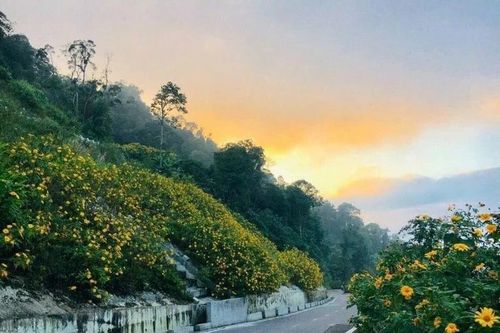 Ba Vì Resort - Thiên đường 'sống ảo' nghỉ dưỡng gần trung tâm Hà Nội