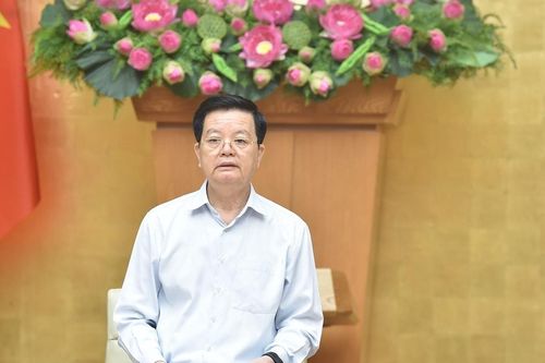 Bảo đảm Cơ sở dữ liệu về phòng, chống bạo lực gia đình được chia sẻ thống nhất