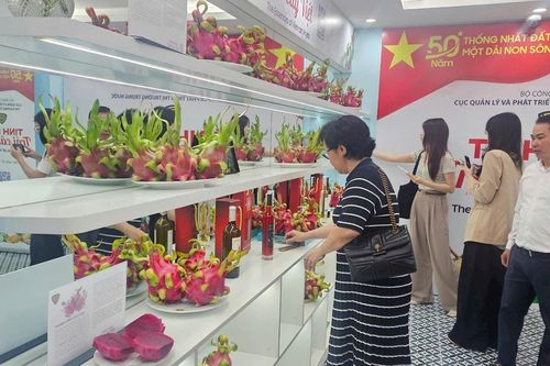 Đẩy mạnh quảng bá trái cây Việt Nam để thắng thế trên 'sân nhà'