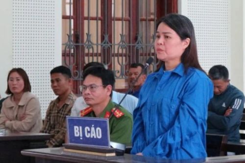 Nữ luật sư rởm lừa chạy án cho hàng chục người, chiếm đoạt gần 7 tỷ đồng