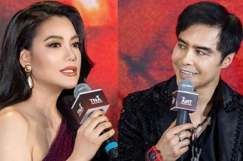Họa sĩ người Mỹ gốc Việt: 'Bộ phim có Trương Ngọc Ánh kinh phí tốn hàng triệu USD'