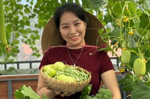 Vợ chồng ở Đắk Lắk làm 'căn gác chữa lành' xanh mướt, các con thích mê