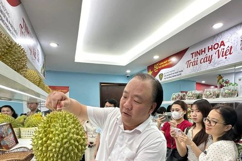 'Tinh hoa trái cây Việt': Thúc đẩy tiêu thụ nội địa, đẩy mạnh xuất khẩu
