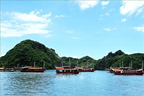 Tạm dừng chuyên chở ô tô sang đảo Cát Bà để tránh quá tải dịp nghỉ lễ 30/4