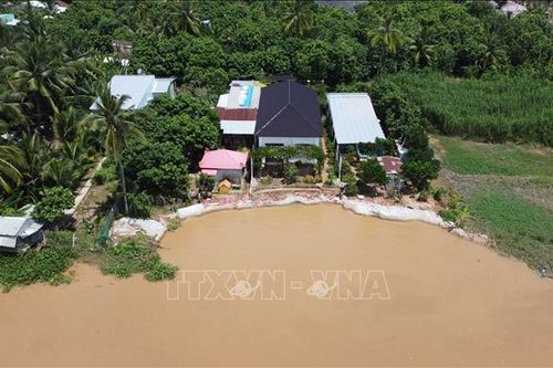 Đồng Tháp có phương án xử lý khẩn cấp sạt lở bờ sông Tiền