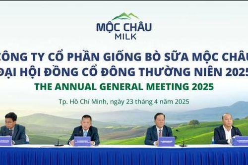 Cổ đông trăn trở vì giá cổ phiếu, lãnh đạo Mộc Châu Milk nói gì?