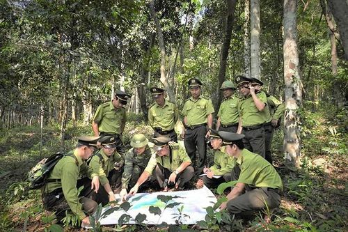Thành lập Trung tâm Bảo vệ rừng và Di sản thế giới Phong Nha - Kẻ Bàng