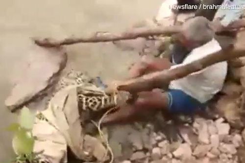 CLIP: Liều mình giải cứu báo đốm, người đàn ông bị loài mèo lớn tấn công và cái kết